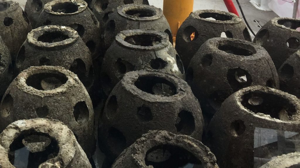 A Growing Network of No Shoes Reefs featuring Kenny Chesney