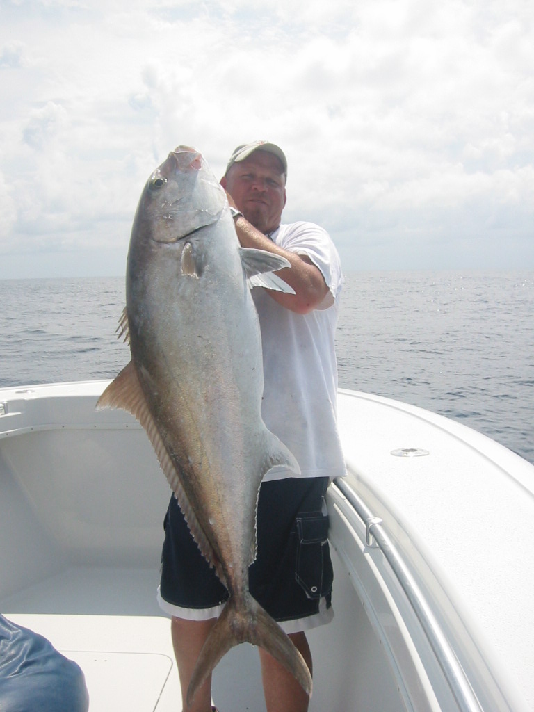 Amberjack, Greater - South Atlantic Fishery Management Council